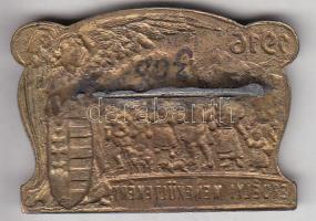 Osztrák-Magyar Monarchia 1916. "Erdélyi Menekültekért" bronzozott tömör cink propaganda je...
