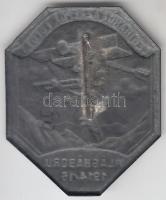 Osztrák-Magyar Monarchia 1914-16. "Légiharcz az Alpok Fölött - Világháború 1914/16" cink s...