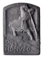 Osztrák-Magyar Monarchia ~1915-1916. "2-es HONVÉD - BELGRÁD-KÁRPÁTOK-PRZEMYSL-GÖRZ-LOVCEN-PREDEÁL" cink sapkajelvény (42x30m) készítő: "Arkanzas Bpest Védve" , tű nélkül T:2 Austro-Hungarian Monarchy ~1915-1916. "2. HIR" zinc cap badge (42x30mm) maker: "Arkanzas Bpest Védve", without pin C:XF