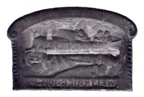 Osztrák-Magyar Monarchia 1914-1916. "K.u.K. AUTOMOBIL CORPS" cink(bronzozás maradványai) s...