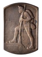 Osztrák-Magyar Monarchia 1914-1916. "NYITRAI 14. HONVÉD GY.EZRED 1914-1916" tombak sapkajelvény (40x27m) szignó: Berán Lajos, tű nélkül T:2 Austro-Hungarian Monarchy 1914-1916. "14.HIR Neutra" tombac cap badge (40x27mm) sign: Berán Lajos, without pin C:XF