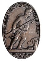 Osztrák-Magyar Monarchia 1914-16. "M.KIR.BUDAPESTI 29. HONVÉD GYALOGEZRED 1914-1915-1916" ezüstözött Br sapkajelvény (43x29m) szignó: FINTA, tű nélkül T:2 Austro-Hungarian Monarchy 1914-16. "29. HIR Budapest" silver-plated Br cap badge (43x29mm) without pin C:XF
