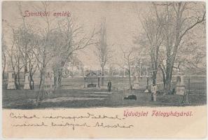 Kiskunfélegyháza Szentkút (fa)