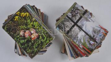 kb. 250 modern üdvözlőlap