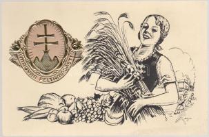 Irredenta Emb. postcard, peasant folklore s: Zsolt