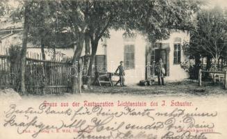 Hinterbrühl, Restaurant Lichtenstein, J. Schuster