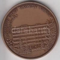 Nagy Lajos (1949-) DN Bessenyei György Tanárképző Főiskola Nyíregyháza Br emlékérem (42,5mm) T:1-