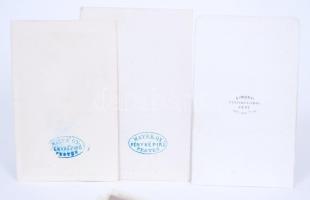 cca 1860 A magyar arisztokrácia. 68db keményhátú fotó az első magyar fényképészek műtermeiből (Simon...