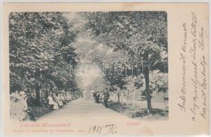 Kovászna promenade (fl)