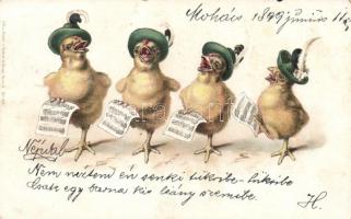 1899 Singing chickens, litho (fl)