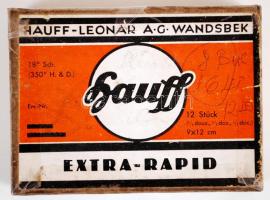 cca 1920 18db felvétel üvegnegatívon egy jómódú család életéből / 
Vintage family photos on glass n...