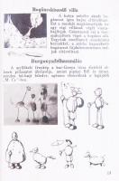 Bereznai Aurél-Harsány György: Ezermester. Budapest 1937. A Magyar Cserkész Kiadása. Dr. Major Dezső...