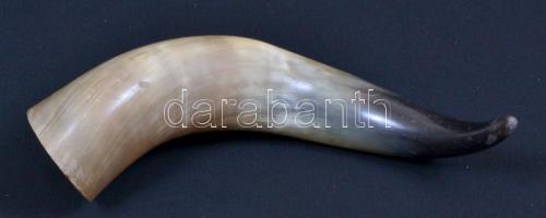 Tülök apró lepattanásokkal, h:28 cm