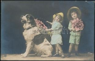 St. Bernard dog with children, Bernáthegyi kutya gyerekekkel