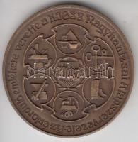 Bogár Lívia (1957-) 1986. "100 éves a Nagykanizsai Ipartestület" Br emlékérem (42,5mm) T:1