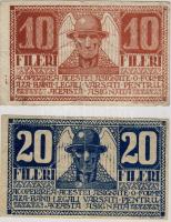 1919. Temesvár/Timisoara Csak román nyelvű 10f, 20f T:III
