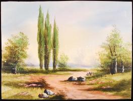 Két darab jelzés nélküli tájkép. Olaj, papír, 24×32 cm (2×)