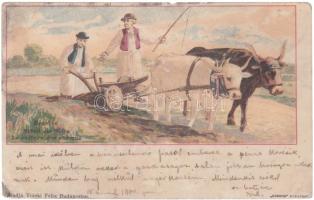 Hungarian peasants with oxen and cart litho (Rb)