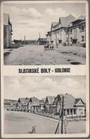 Aknaszlatina colony (Rb)