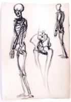 Jelzés nélkül: Emberi csontvázat és koponyákat ábrázoló ceruza és szén rajzok, összesen: 5 db, 60×40 cm