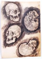 Jelzés nélkül: Emberi csontvázat és koponyákat ábrázoló ceruza és szén rajzok, összesen: 5 db, 60×40...