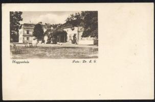 Nagyszénás Károlyi kastély (EK)