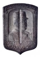 Osztrák-Magyar Monarchia 1914-1916. "Generaloberst. Arz" cink sapkajelvény (40x28mm) készí...