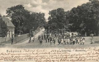 Budakeszi Virágvölgy (fa)