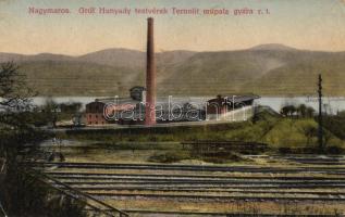 Nagymaros, Gróf Hunyady testvérek Ternolit műpala gyára (EK)