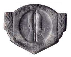 Osztrák-Magyar Monarchia 1914-16. "Graf v. Bothmer Generális" cink sapkajelvény (32x39mm) ...