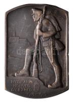 Osztrák-Magyar Monarchia 1914-1916. "NYITRAI 14. HONVÉD GY.EZRED 1914-1916" tombak sapkajelvény (40x27m) szignó: Berán Lajos, tű nélkül T:2 Austro-Hungarian Monarchy 1914-1916. "14.HIR Neutra" tombac cap badge (40x27mm) sign: Berán Lajos, without pin C:XF