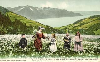 Savoy Alps, Lake Geneva, season of daffodils