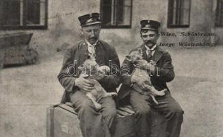 Vienna, Schönbrunn, postmen with lions (Rb)
