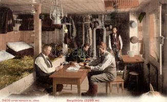 Alps, Berglihütte, interior (EK)