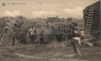 Belgian folklore, cultivation of flax