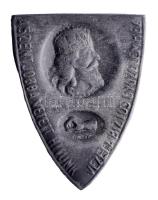 Osztrák-Magyar Monarchia 1918. "A SZENT JOBBA VETETT HITÜNK VEZET A BIZTOS GYŐZELEMHEZ" cink sapkajelvény (35x27mm) tű nélkül T:2- Austro-Hungarian Monarchy 1918. "A SZENT JOBBA VETETT HITÜNK VEZET A BIZTOS GYŐZELEMHEZ" zinc cap badge (35x27m) without pin C:VF