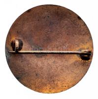 1927-1929. "Gyógyszerész kongresszus" 3db klf zománcozott jelvény T:2,2-