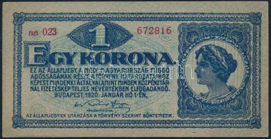 1920. 1K T:I-(saroktörés)