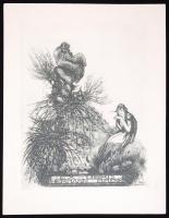 Melly Bachrich: Ex-libris Hermann Brenk. Rézkarc, papír, dúcon jelzett, 17,5x13,5cm