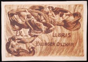 Bottka Miklós (1876-1941): Ex libris Hillinger Oszkár. Rézkarc, papír, jelzett, 12x17cm