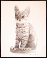 Amberg József (1890-1972?): Fricike. Akvarell, papír, jelzett, 23×18,5cm