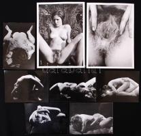 cca 1970 8db erotikus és pornó fotó /  Erotic and pornographic photos, 9x12-13x18cm