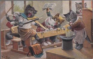 Cats, The disastrous approaches s: Arthur Thiele (EK)