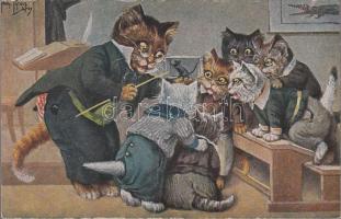 Cats, Teaching-intuition s: Arthur Thiele (EB)