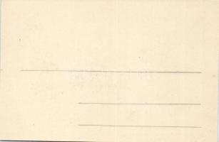 Trencsénteplic, Trencianske Teplice; Kossuth Lajos utca Wertheim Zsigmond üzletével/ street view wit...