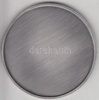 Hollandia 2004. "Ypenburg Katonai Védelmi Szervezet" fém nagyméretű plakett díszdobozban T...