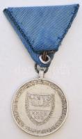 1940. "Erdélyi részek felszabadulásának emlékére" Alu emlékérem mellszalaggal T:2-
1940. &...