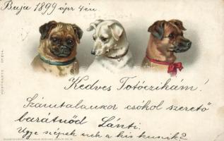 1899 Dogs litho (EK)