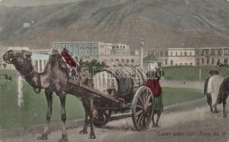 Aden camel water cart, folklore (fl)