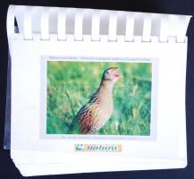 Bányai Sándor-Makai Katalin: Szabadidő-kalauz, Budapest 2005, RAABE Tanácsadó és Kiadó Kft.